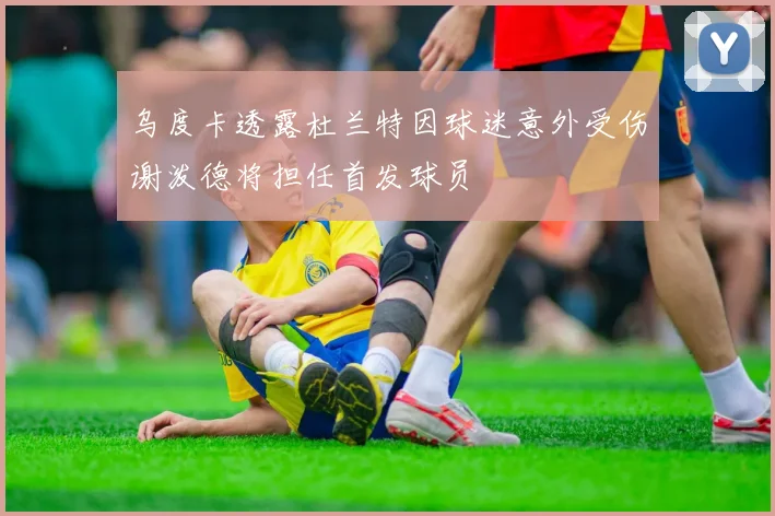 乌度卡透露杜兰特因球迷意外受伤谢泼德将担任首发球员