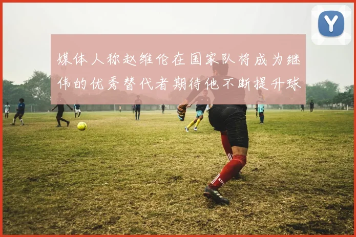 媒体人称赵维伦在国家队将成为继伟的优秀替代者期待他不断提升球技